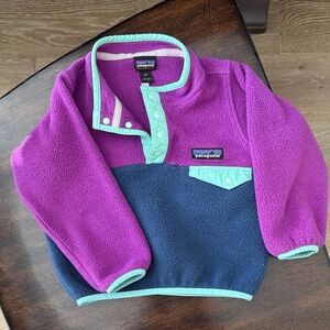 Patagonia Purple and Navy Synchilla Pullover